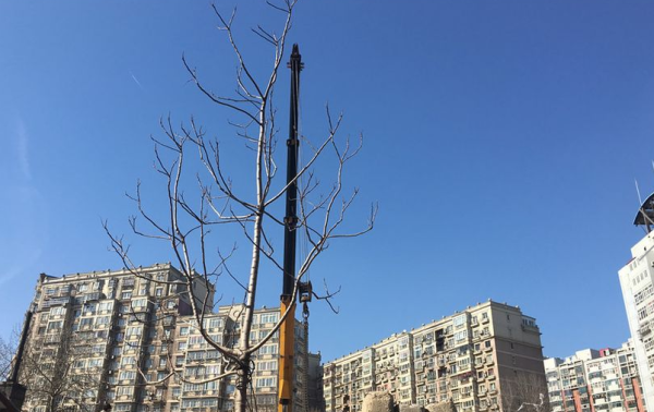 阅和平项目_实景图_1