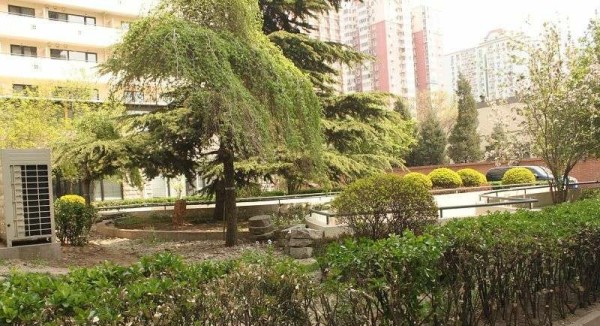 龙头国际_效果图_1