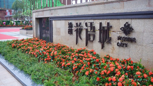 花语城_实景图_2