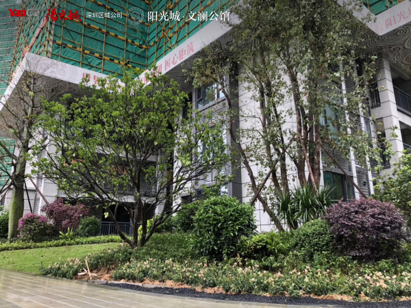 阳光城·文澜公馆实景图