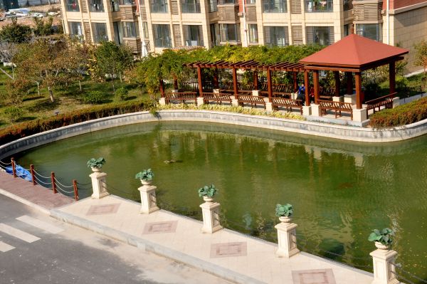 欣泰世纪城_实景图_11