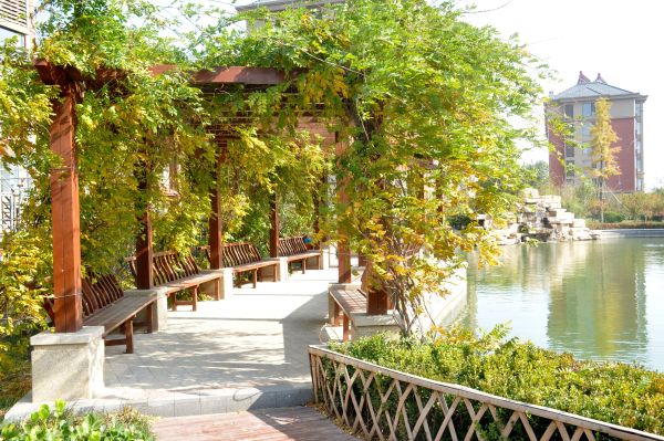 欣泰世纪城_实景图_14