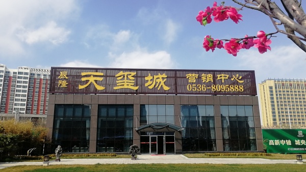 辰隆天玺城_实景图_1
