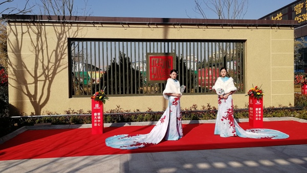 辰隆天玺城_项目现场_1