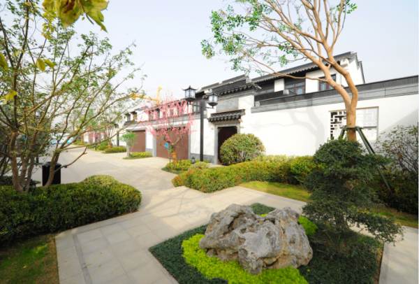 春风江南_实景图_2