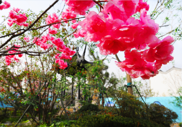 春风江南_实景图_3