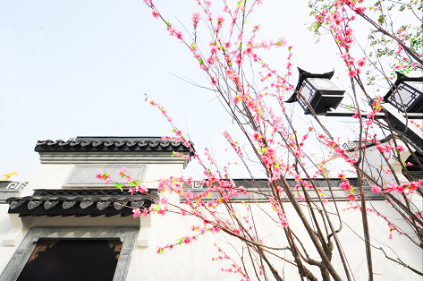 春风江南_实景图_7