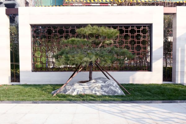 临朐富春江豐泽苑_实景图_3