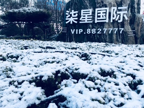 潍坊柒星国际_实景图_8