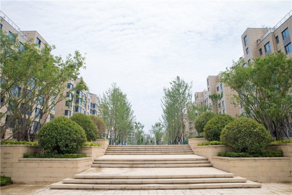 潍坊峡山凤栖第_实景图_9
