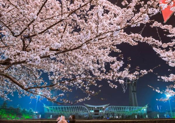 潍坊柒星国际_实景图_9