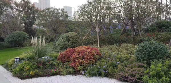 中铁南山名邸项目现场
