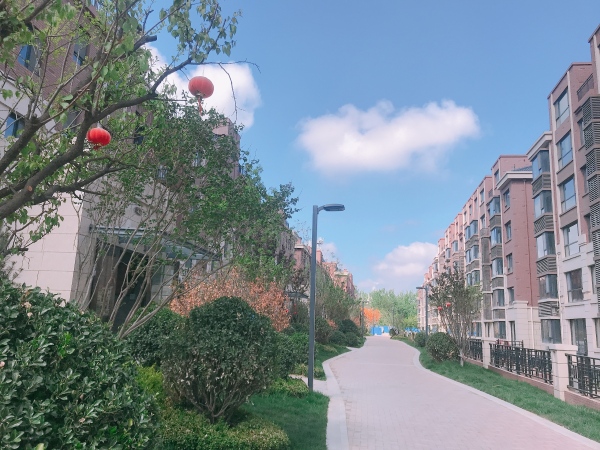 恒信书香门第_实景图_2