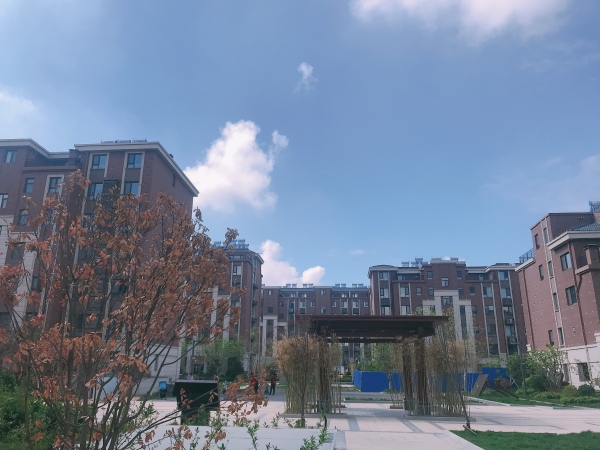 恒信书香门第_实景图_3