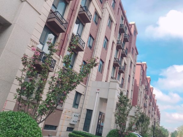恒信书香门第_实景图_6