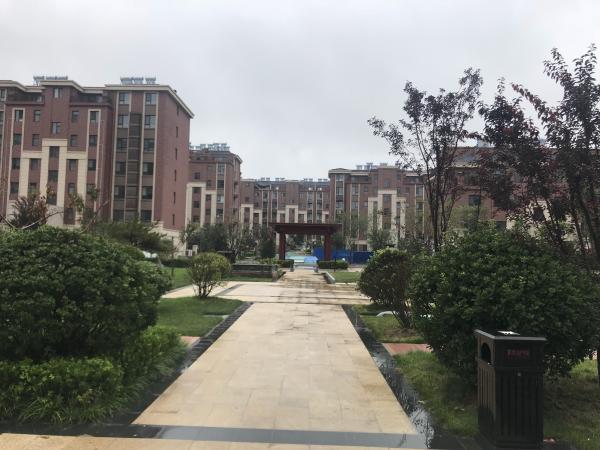 恒信书香门第_实景图_10