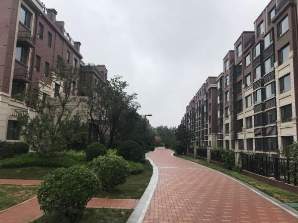 恒信书香门第_实景图_11