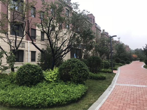 恒信书香门第_实景图_12