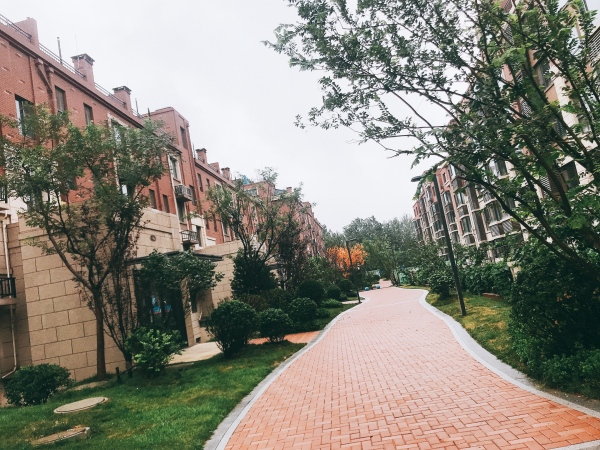 恒信书香门第_实景图_13