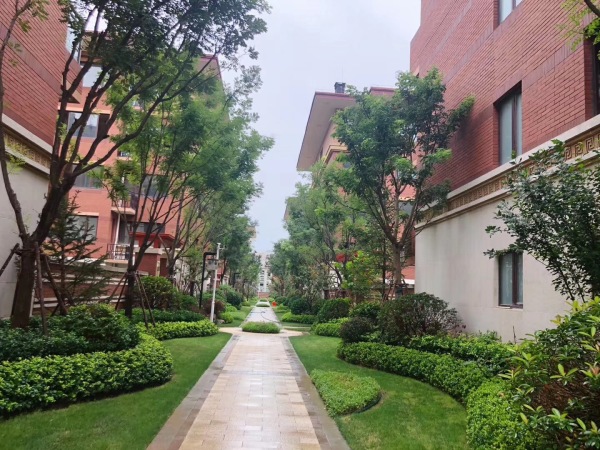 金鸾御景城_实景图_13