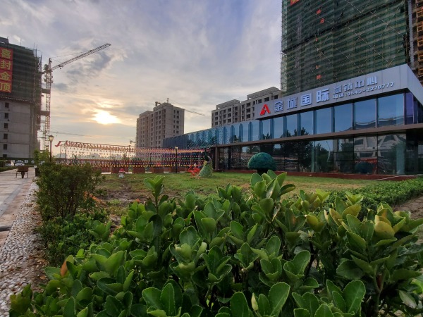 沾化金城国际_实景图_3