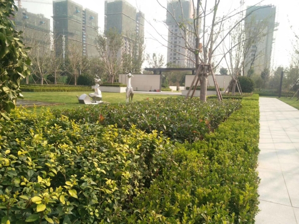 紫御宫馆_实景图_2
