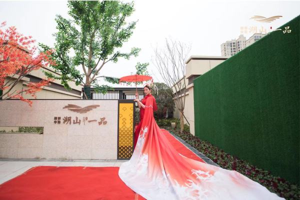 加侨中梁·湖山一品_实景图_1
