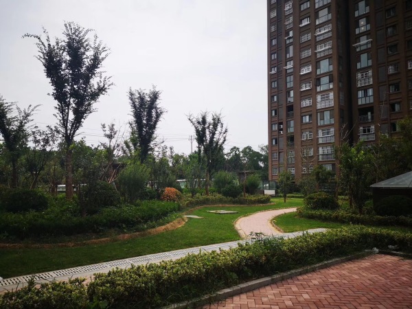 御水帝景城_实景图_11