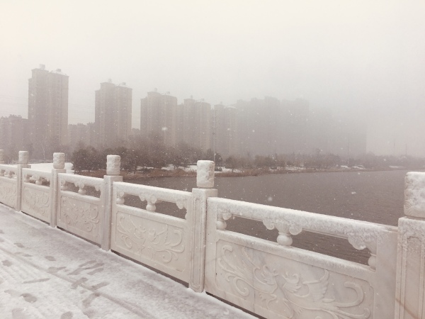 御水帝景城_实景图_15