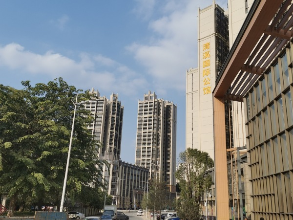 东莞清溪国际公馆_项目现场_3
