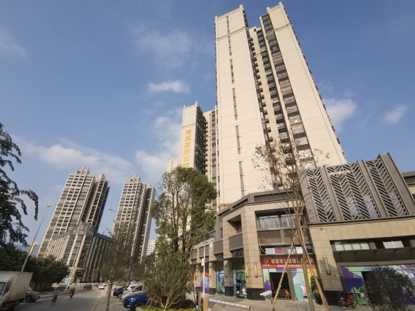 东莞清溪国际公馆_项目现场_4