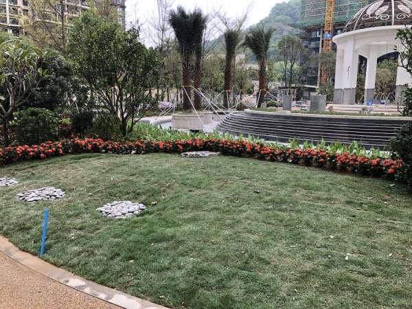 康达尔山海上园（二期）_实景图_2