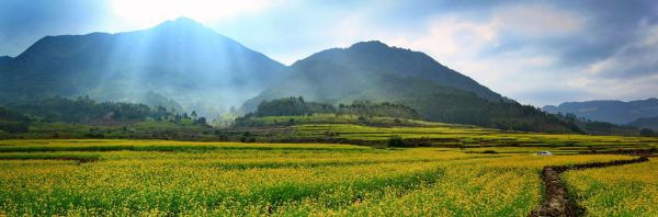 十里蓝山实景图