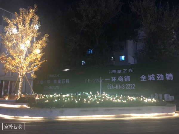 万科圣丰·翡翠之光_项目现场_5