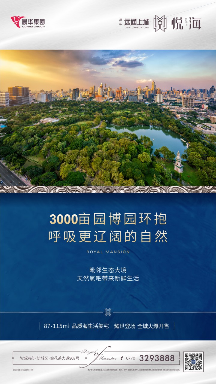 远通上城_图文详情