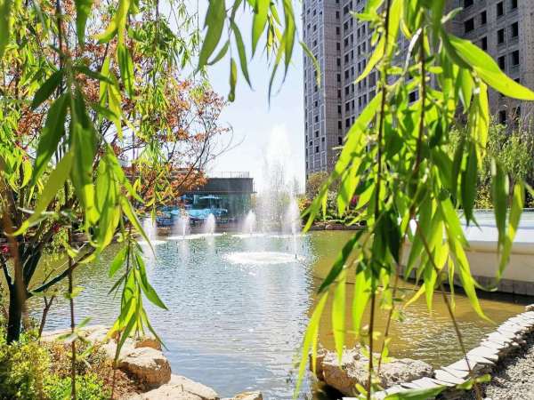 泰昌·悦湖庄园实景图