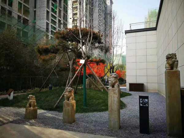 泰昌·悦湖庄园实景图