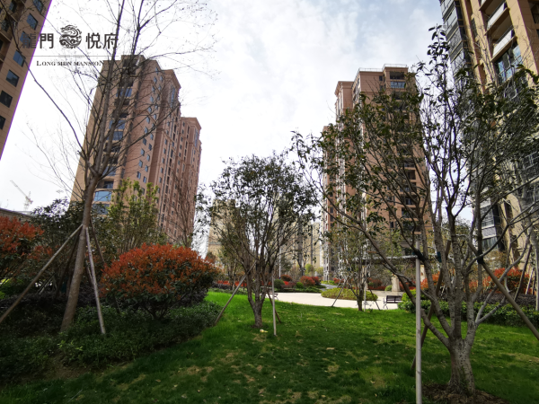 新威龙门悦府_实景图_4