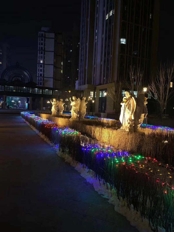 会展城上城·星御_实景图_1