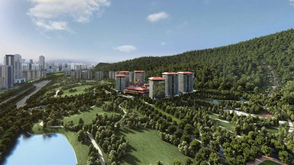 仁和横琴国际中医药创新中心_效果图_2