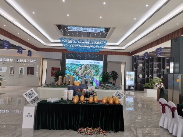 泰安领秀城·铂岳_实景图_2