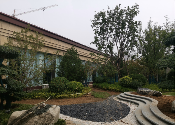 泰安领秀城·铂岳_项目现场_2