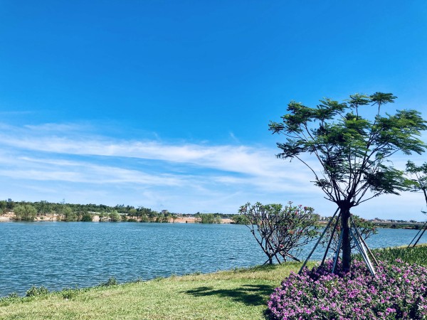 华侨城歌美海纯水岸-全国客户实景图
