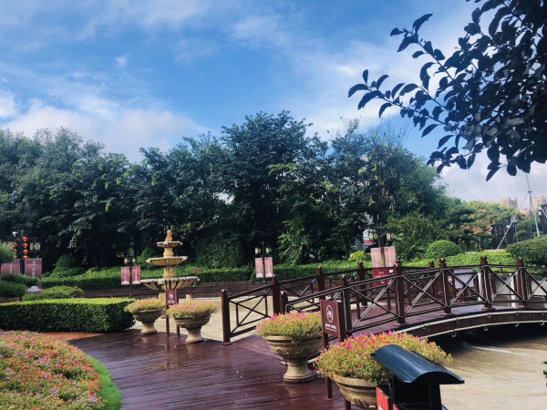 潍坊柒星国际_实景图_12