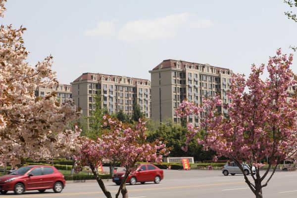 安丘华夏天元_实景图_8