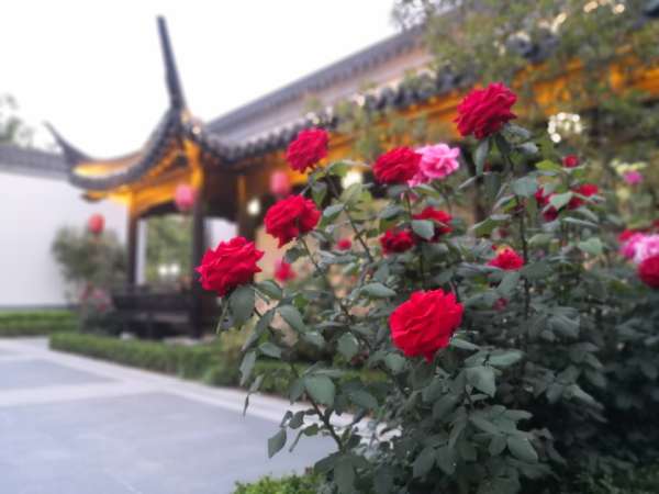 春风江南_效果图_10