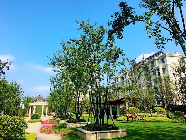 交运金水岸_实景图_2