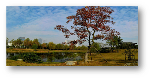 高速时代公馆_小区配套_1