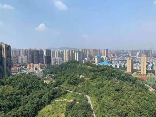 梅溪湖骑龙苑_实景图_1