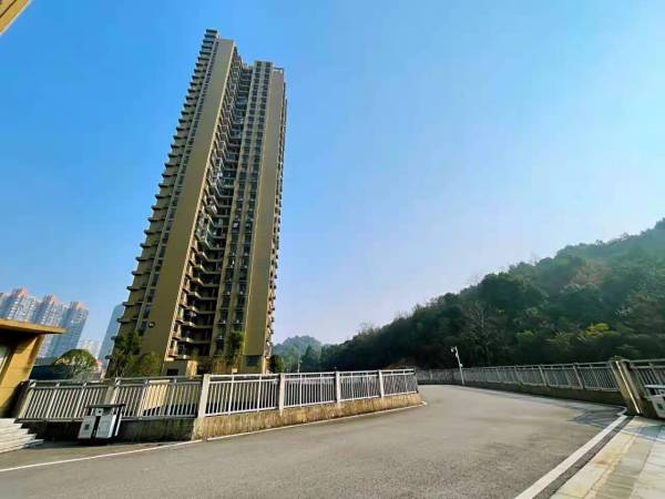 梅溪湖骑龙苑_实景图_2